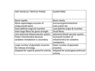 FAST MUSCLE/ TWITCH/ PHASIC SLOW/TONIC
React rapidly React slowly
Move appendages,muscles of
wings,mouth parts
Surround gastrointestinal
tract.ureter etc
Have definite origin & insertion Lack definite origin & insertion
Have large fibres for great strength Small fibres
Less extensive blood vascular system extensive blood vascular system
Fewer mitochondria because
oxidative metabolism is secondary
Increased number of
mitochondria for oxidative
metabolism
Large number of glycolytic enzymes
for release of energy
fewer number of glycolytic
enzymes
Adapted for rapid & powerful activity Adapted for prolonged,continued
activity
 