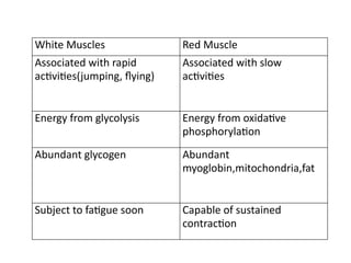 White Muscles Red Muscle
Associated with rapid
activities(jumping, flying)
Associated with slow
activities
Energy from glycolysis Energy from oxidative
phosphorylation
Abundant glycogen Abundant
myoglobin,mitochondria,fat
Subject to fatigue soon Capable of sustained
contraction
 