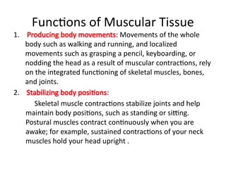Functions of Muscular Tissue
1. Producing body movements: Movements of the whole
body such as walking and running, and localized
movements such as grasping a pencil, keyboarding, or
nodding the head as a result of muscular contractions, rely
on the integrated functioning of skeletal muscles, bones,
and joints.
2. Stabilizing body positions:
Skeletal muscle contractions stabilize joints and help
maintain body positions, such as standing or sitting.
Postural muscles contract continuously when you are
awake; for example, sustained contractions of your neck
muscles hold your head upright .
 
