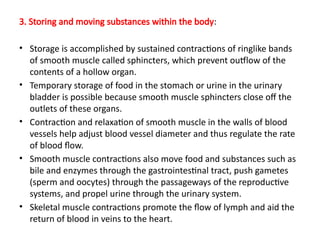 3. Storing and moving substances within the body:
• Storage is accomplished by sustained contractions of ringlike bands
of smooth muscle called sphincters, which prevent outflow of the
contents of a hollow organ.
• Temporary storage of food in the stomach or urine in the urinary
bladder is possible because smooth muscle sphincters close off the
outlets of these organs.
• Contraction and relaxation of smooth muscle in the walls of blood
vessels help adjust blood vessel diameter and thus regulate the rate
of blood flow.
• Smooth muscle contractions also move food and substances such as
bile and enzymes through the gastrointestinal tract, push gametes
(sperm and oocytes) through the passageways of the reproductive
systems, and propel urine through the urinary system.
• Skeletal muscle contractions promote the flow of lymph and aid the
return of blood in veins to the heart.
 
