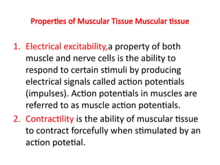 Properties of Muscular Tissue Muscular tissue
1. Electrical excitability,a property of both
muscle and nerve cells is the ability to
respond to certain stimuli by producing
electrical signals called action potentials
(impulses). Action potentials in muscles are
referred to as muscle action potentials.
2. Contractility is the ability of muscular tissue
to contract forcefully when stimulated by an
action potetial.
 