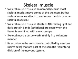 Skeletal muscle
• Skeletal muscle tissue is so named because most
skeletal musles move bones of the skeleton. (A few
skeletal muscles attach to and move the skin or other
skeletal muscles.)
• Skeletal muscle tissue is striated: Alternating light and
dark protein bands (striations) are seen when the
tissue is examined with a microscope .
• Skeletal muscle tissue works mainly in a voluntary
manner.
• Its activity can be consciously controlled by neurons
(nerve cells) that are part of the somatic (voluntary)
division of the nervous system.
 