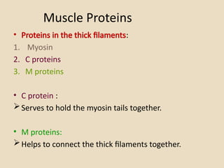 Muscle Proteins
• Proteins in the thick filaments:
1. Myosin
2. C proteins
3. M proteins
• C protein :
Serves to hold the myosin tails together.
• M proteins:
Helps to connect the thick filaments together.
 