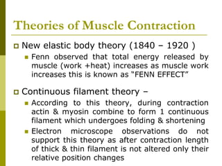 Theories of Muscle Contraction
 New elastic body theory (1840 – 1920 )
 Fenn observed that total energy released by
muscle (work +heat) increases as muscle work
increases this is known as “FENN EFFECT”
 Continuous filament theory –
 According to this theory, during contraction
actin & myosin combine to form 1 continuous
filament which undergoes folding & shortening
 Electron microscope observations do not
support this theory as after contraction length
of thick & thin filament is not altered only their
relative position changes
 