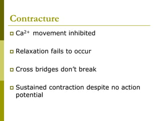 Contracture
 Ca2+ movement inhibited
 Relaxation fails to occur
 Cross bridges don’t break
 Sustained contraction despite no action
potential
 