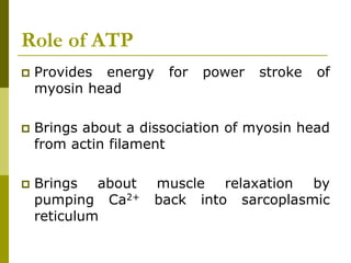 Role of ATP
 Provides energy for power stroke of
myosin head
 Brings about a dissociation of myosin head
from actin filament
 Brings about muscle relaxation by
pumping Ca2+ back into sarcoplasmic
reticulum
 
