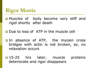 Rigor Mortis
 Muscles of body become very stiff and
rigid shortly after death
 Due to loss of ATP in the muscle cell
 In absence of ATP, the myosin cross
bridges with actin is not broken, so, no
relaxation occurs
 15-25 hrs later, muscle proteins
deteriorate and rigor disappears
 