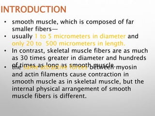 INTRODUCTION
• smooth muscle, which is composed of far
smaller fibers—
• usually 1 to 5 micrometers in diameter and
only 20 to 500 micrometers in length.
• In contrast, skeletal muscle fibers are as much
as 30 times greater in diameter and hundreds
of times as long as smooth muscle.
• the same attractive forces between myosin
and actin filaments cause contraction in
smooth muscle as in skeletal muscle, but the
internal physical arrangement of smooth
muscle fibers is different.
 