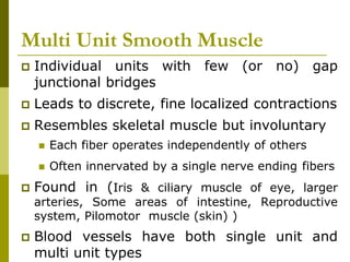 Multi Unit Smooth Muscle
 Individual units with few (or no) gap
junctional bridges
 Leads to discrete, fine localized contractions
 Resembles skeletal muscle but involuntary
 Each fiber operates independently of others
 Often innervated by a single nerve ending fibers
 Found in (Iris & ciliary muscle of eye, larger
arteries, Some areas of intestine, Reproductive
system, Pilomotor muscle (skin) )
 Blood vessels have both single unit and
multi unit types
 