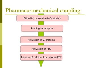 Stimuli (chemical-Ach,Oxytocin)
Binding to receptor
Activation of G-proteins
Release of calcium from stores/ECF
Activation of PLC
Pharmaco-mechanical coupling
 