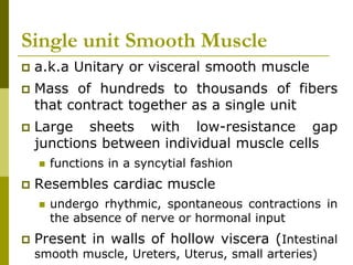 Smooth Muscles | PPTX