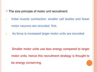  The size principle of motor unit recruitment:
i. Initial muscle contraction: smaller cell bodies and fewer
motor neurons are recruited first.
ii. As force is increased larger motor units are recruited.
Smaller motor units use less energy compared to larger
motor units, hence this recruitment strategy is thought to
be energy conserving.
 