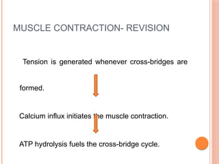 MUSCLE CONTRACTION- REVISION
Tension is generated whenever cross-bridges are
formed.
Calcium influx initiates the muscle contraction.
ATP hydrolysis fuels the cross-bridge cycle.
 