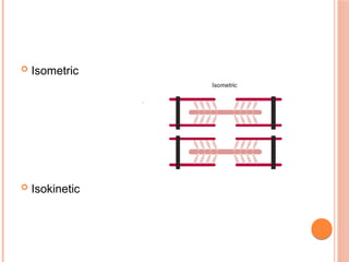  Isometric
 Isokinetic
 