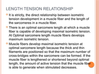 LENGTH TENSION RELATIONSHIP
 It is strictly, the direct relationship between isometric
tension development in a muscle fiber and the length of
the sarcomeres in a muscle fiber.
 There is an optimal sarcomere length at which a muscle
fiber is capable of developing maximal isometric tension.
At Optimal sarcomere length muscle fibers develops
maximum isometric tension.
 Muscle fibers develop maximal isometric tension at
optimal sarcomere length because the thick and thin
filaments are positioned so that the maximum number of
cross-bridges within the sarcomere can be formed. If the
muscle fiber is lengthened or shortened beyond optimal
length, the amount of active tension that the muscle fiber
is able to generate when stimulated decreases.
 