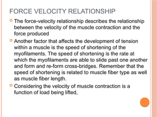FORCE VELOCITY RELATIONSHIP
 The force-velocity relationship describes the relationship
between the velocity of the muscle contraction and the
force produced
 Another factor that affects the development of tension
within a muscle is the speed of shortening of the
myofilaments. The speed of shortening is the rate at
which the myofilaments are able to slide past one another
and form and re-form cross-bridges. Remember that the
speed of shortening is related to muscle fiber type as well
as muscle fiber length.
 Considering the velocity of muscle contraction is a
function of load being lifted,
 