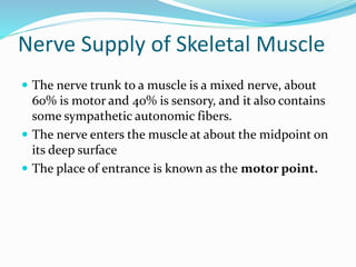 Nerve Supply of Skeletal Muscle
 The nerve trunk to a muscle is a mixed nerve, about
60% is motor and 40% is sensory, and it also contains
some sympathetic autonomic fibers.
 The nerve enters the muscle at about the midpoint on
its deep surface
 The place of entrance is known as the motor point.
 