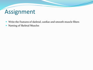 Assignment
 Write the Features of skeletal, cardiac and smooth muscle fibers
 Naming of Skeletal Muscles
 