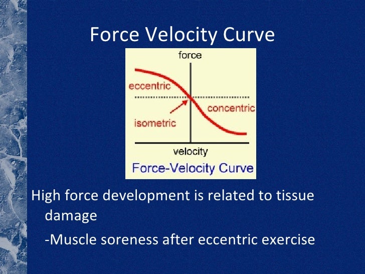 Muscle Anatomy 101 Pt2