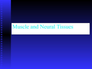Muscle and Neural Tissues 