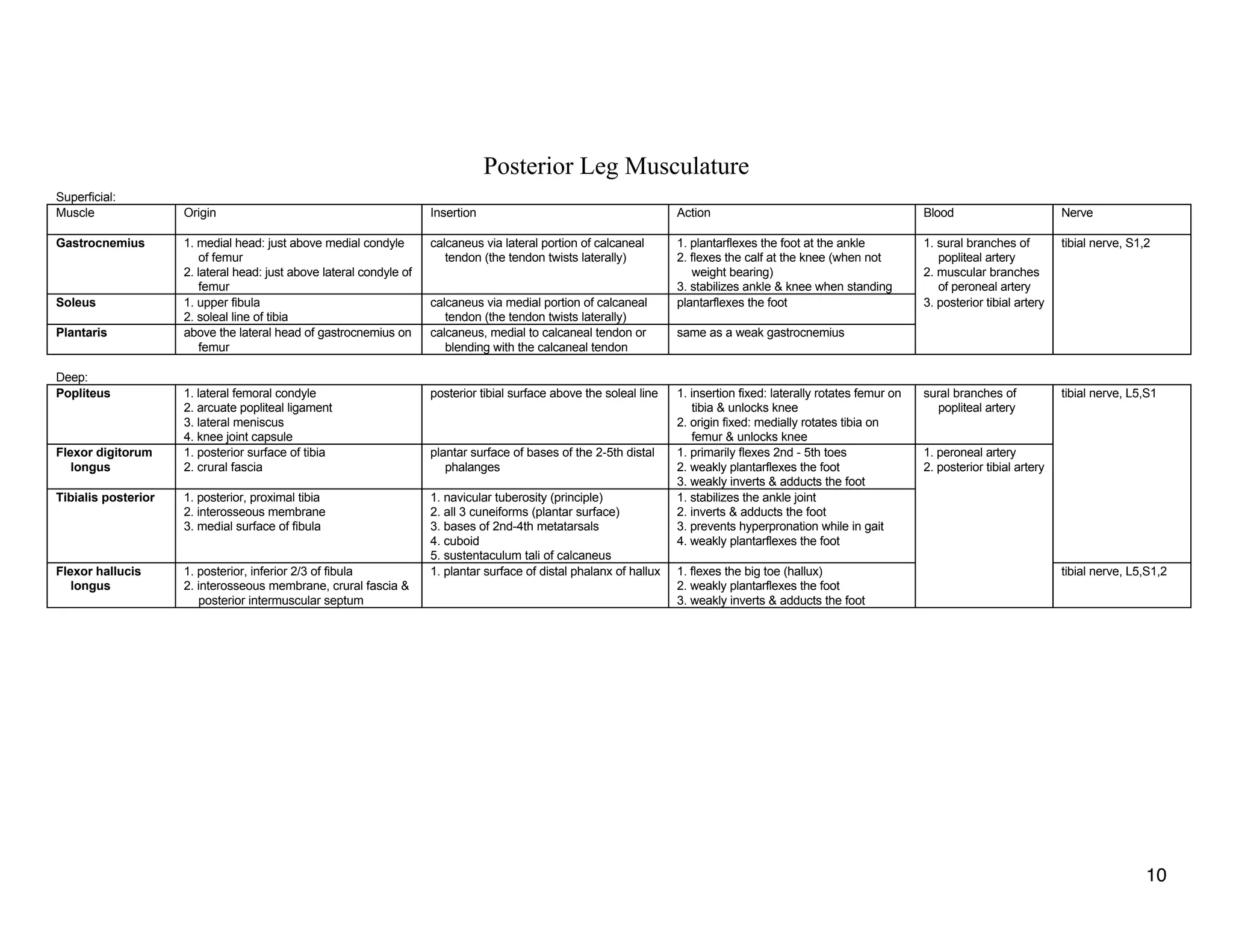 Posterior Leg Musculature
Superficial:
Muscle Origin Insertion Action Blood Nerve
Gastrocnemius 1. medial head: just above medial condyle
of femur
2. lateral head: just above lateral condyle of
femur
calcaneus via lateral portion of calcaneal
tendon (the tendon twists laterally)
1. plantarflexes the foot at the ankle
2. flexes the calf at the knee (when not
weight bearing)
3. stabilizes ankle & knee when standing
1. sural branches of
popliteal artery
2. muscular branches
of peroneal artery
tibial nerve, S1,2
Soleus 1. upper fibula
2. soleal line of tibia
calcaneus via medial portion of calcaneal
tendon (the tendon twists laterally)
plantarflexes the foot 3. posterior tibial artery
Plantaris above the lateral head of gastrocnemius on
femur
calcaneus, medial to calcaneal tendon or
blending with the calcaneal tendon
same as a weak gastrocnemius
Deep:
Popliteus 1. lateral femoral condyle
2. arcuate popliteal ligament
3. lateral meniscus
4. knee joint capsule
posterior tibial surface above the soleal line 1. insertion fixed: laterally rotates femur on
tibia & unlocks knee
2. origin fixed: medially rotates tibia on
femur & unlocks knee
sural branches of
popliteal artery
tibial nerve, L5,S1
Flexor digitorum
longus
1. posterior surface of tibia
2. crural fascia
plantar surface of bases of the 2-5th distal
phalanges
1. primarily flexes 2nd - 5th toes
2. weakly plantarflexes the foot
3. weakly inverts & adducts the foot
1. peroneal artery
2. posterior tibial artery
Tibialis posterior 1. posterior, proximal tibia
2. interosseous membrane
3. medial surface of fibula
1. navicular tuberosity (principle)
2. all 3 cuneiforms (plantar surface)
3. bases of 2nd-4th metatarsals
4. cuboid
5. sustentaculum tali of calcaneus
1. stabilizes the ankle joint
2. inverts & adducts the foot
3. prevents hyperpronation while in gait
4. weakly plantarflexes the foot
Flexor hallucis
longus
1. posterior, inferior 2/3 of fibula
2. interosseous membrane, crural fascia &
posterior intermuscular septum
1. plantar surface of distal phalanx of hallux 1. flexes the big toe (hallux)
2. weakly plantarflexes the foot
3. weakly inverts & adducts the foot
tibial nerve, L5,S1,2
10
 