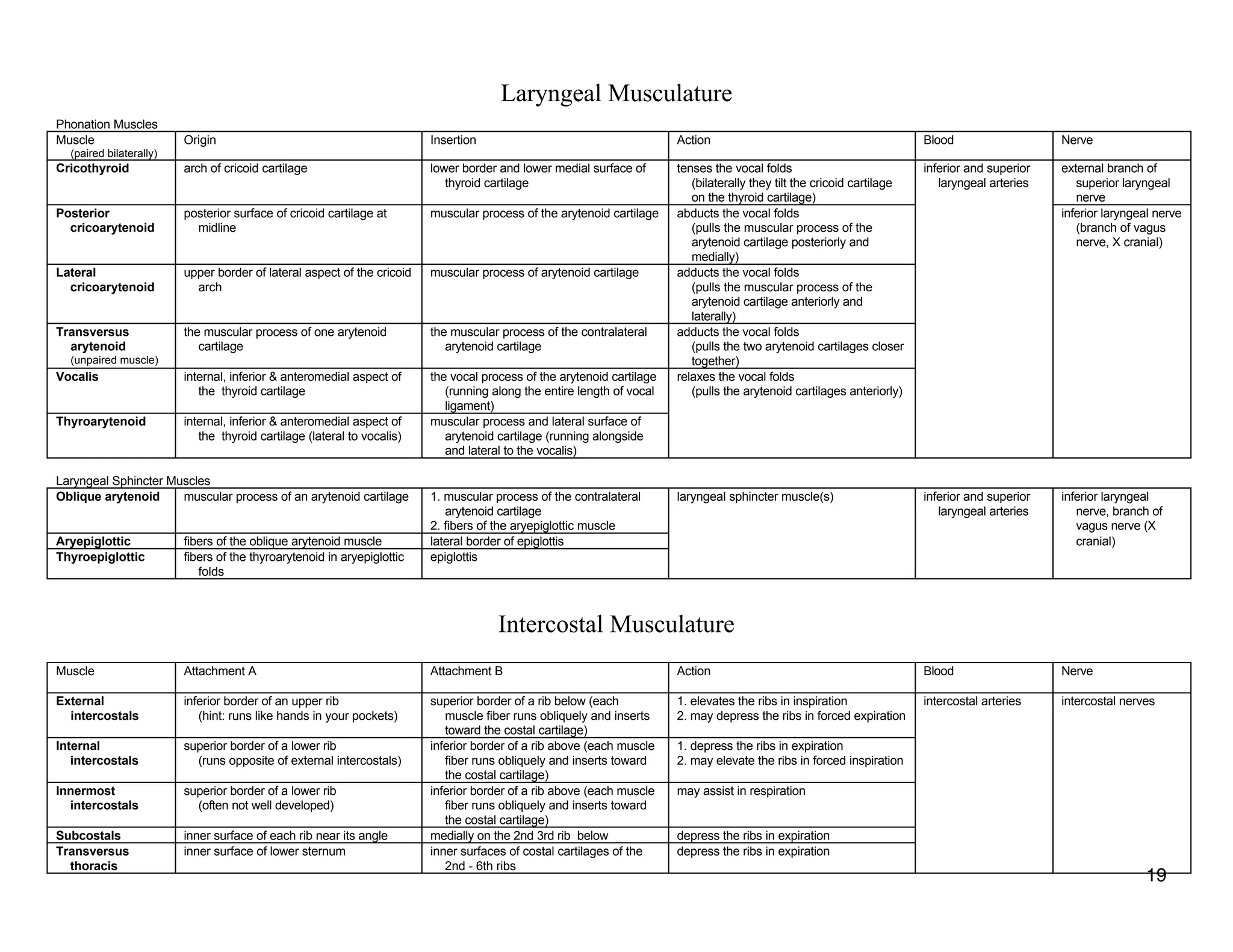 Laryngeal Musculature
Phonation Muscles
Muscle
(paired bilaterally)
Origin Insertion Action Blood Nerve
Cricothyroid arch of cricoid cartilage lower border and lower medial surface of
thyroid cartilage
tenses the vocal folds
(bilaterally they tilt the cricoid cartilage
on the thyroid cartilage)
inferior and superior
laryngeal arteries
external branch of
superior laryngeal
nerve
Posterior
cricoarytenoid
posterior surface of cricoid cartilage at
midline
muscular process of the arytenoid cartilage abducts the vocal folds
(pulls the muscular process of the
arytenoid cartilage posteriorly and
medially)
inferior laryngeal nerve
(branch of vagus
nerve, X cranial)
Lateral
cricoarytenoid
upper border of lateral aspect of the cricoid
arch
muscular process of arytenoid cartilage adducts the vocal folds
(pulls the muscular process of the
arytenoid cartilage anteriorly and
laterally)
Transversus
arytenoid
(unpaired muscle)
the muscular process of one arytenoid
cartilage
the muscular process of the contralateral
arytenoid cartilage
adducts the vocal folds
(pulls the two arytenoid cartilages closer
together)
Vocalis internal, inferior & anteromedial aspect of
the thyroid cartilage
the vocal process of the arytenoid cartilage
(running along the entire length of vocal
ligament)
relaxes the vocal folds
(pulls the arytenoid cartilages anteriorly)
Thyroarytenoid internal, inferior & anteromedial aspect of
the thyroid cartilage (lateral to vocalis)
muscular process and lateral surface of
arytenoid cartilage (running alongside
and lateral to the vocalis)
Laryngeal Sphincter Muscles
Oblique arytenoid muscular process of an arytenoid cartilage 1. muscular process of the contralateral
arytenoid cartilage
2. fibers of the aryepiglottic muscle
laryngeal sphincter muscle(s) inferior and superior
laryngeal arteries
inferior laryngeal
nerve, branch of
vagus nerve (X
Aryepiglottic fibers of the oblique arytenoid muscle lateral border of epiglottis cranial)
Thyroepiglottic fibers of the thyroarytenoid in aryepiglottic
folds
epiglottis
Intercostal Musculature
Muscle Attachment A Attachment B Action Blood Nerve
External
intercostals
inferior border of an upper rib
(hint: runs like hands in your pockets)
superior border of a rib below (each
muscle fiber runs obliquely and inserts
toward the costal cartilage)
1. elevates the ribs in inspiration
2. may depress the ribs in forced expiration
intercostal arteries intercostal nerves
Internal
intercostals
superior border of a lower rib
(runs opposite of external intercostals)
inferior border of a rib above (each muscle
fiber runs obliquely and inserts toward
the costal cartilage)
1. depress the ribs in expiration
2. may elevate the ribs in forced inspiration
Innermost
intercostals
superior border of a lower rib
(often not well developed)
inferior border of a rib above (each muscle
fiber runs obliquely and inserts toward
the costal cartilage)
may assist in respiration
Subcostals inner surface of each rib near its angle medially on the 2nd 3rd rib below depress the ribs in expiration
Transversus
thoracis
inner surface of lower sternum inner surfaces of costal cartilages of the
2nd - 6th ribs
depress the ribs in expiration
19
 