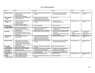 Muscle Attachment Table (Compartment Wise) | PDF