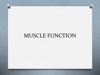 MUSCLE FUNCTION
 