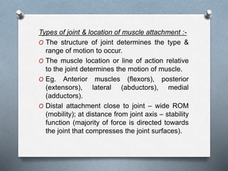 Types of joint & location of muscle attachment :-
O The structure of joint determines the type &
range of motion to occur.
O The muscle location or line of action relative
to the joint determines the motion of muscle.
O Eg. Anterior muscles (flexors), posterior
(extensors), lateral (abductors), medial
(adductors).
O Distal attachment close to joint – wide ROM
(mobility); at distance from joint axis – stability
function (majority of force is directed towards
the joint that compresses the joint surfaces).
 