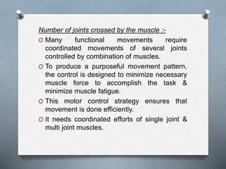 Number of joints crossed by the muscle :-
O Many functional movements require
coordinated movements of several joints
controlled by combination of muscles.
O To produce a purposeful movement pattern,
the control is designed to minimize necessary
muscle force to accomplish the task &
minimize muscle fatigue.
O This motor control strategy ensures that
movement is done efficiently.
O It needs coordinated efforts of single joint &
multi joint muscles.
 