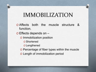 IMMOBILIZATION
O Affects both the muscle structure &
function.
O Effects depends on –
O Immobilization position
O Shortened
O Lengthened
O Percentage of fiber types within the muscle
O Length of immobilization period
 