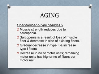 AGING
Fiber number & type changes :-
O Muscle strength reduces due to
sarcopenia.
O Sarcopenia is a result of loss of muscle
fiber & decrease in size of existing fibers.
O Gradual decrease in type II & increase
type I fibers
O Decrease in no of motor units; remaining
motor units has higher no of fibers per
motor unit
 