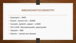 IMMUNOHISTOCHEMISTRY
• Dystrophin – DMD
• Emerin , laminin A/C – EDMD
• Caveolin ,dysferlin ,calpain – LGMD
• CD 4,CD8 –Dermatomyositis, polymyositis
• Ubiquitin – IBM
• Desmin – central core disease
 