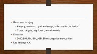 • Response to injury
• Atrophy, necrosis, hyaline change, inflammation,inclusion
• Cores, targets,ring fibres ,nemaline rods
• Diseases
• DMD,DM,PM,IBM,LGD,SMA,congenital myopathies
• Lab findings-CK
 