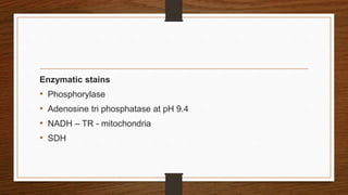 Enzymatic stains
• Phosphorylase
• Adenosine tri phosphatase at pH 9.4
• NADH – TR - mitochondria
• SDH
 