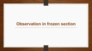 Observation in frozen section
 