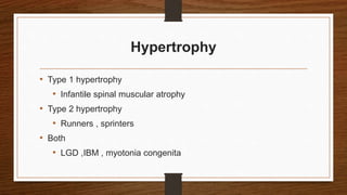 Hypertrophy
• Type 1 hypertrophy
• Infantile spinal muscular atrophy
• Type 2 hypertrophy
• Runners , sprinters
• Both
• LGD ,IBM , myotonia congenita
 