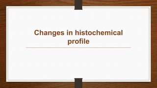 Changes in histochemical
profile
 