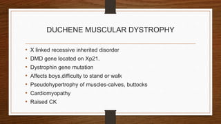 DUCHENE MUSCULAR DYSTROPHY
• X linked recessive inherited disorder
• DMD gene located on Xp21.
• Dystrophin gene mutation
• Affects boys,difficulty to stand or walk
• Pseudohypertrophy of muscles-calves, buttocks
• Cardiomyopathy
• Raised CK
 