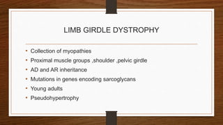 LIMB GIRDLE DYSTROPHY
• Collection of myopathies
• Proximal muscle groups ,shoulder ,pelvic girdle
• AD and AR inheritance
• Mutations in genes encoding sarcoglycans
• Young adults
• Pseudohypertrophy
 