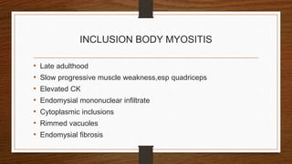INCLUSION BODY MYOSITIS
• Late adulthood
• Slow progressive muscle weakness,esp quadriceps
• Elevated CK
• Endomysial mononuclear infiltrate
• Cytoplasmic inclusions
• Rimmed vacuoles
• Endomysial fibrosis
 