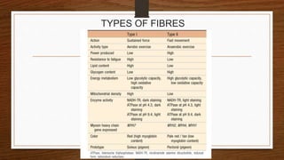 TYPES OF FIBRES
 