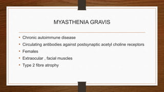 MYASTHENIA GRAVIS
• Chronic autoimmune disease
• Circulating antibodies against postsynaptic acetyl choline receptors
• Females
• Extraocular , facial muscles
• Type 2 fibre atrophy
 