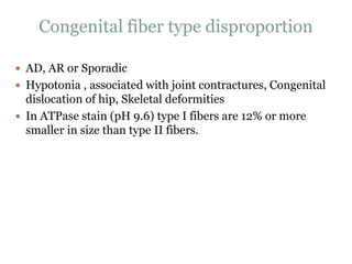 Congenital fiber type disproportion
 AD, AR or Sporadic
 Hypotonia , associated with joint contractures, Congenital
dislocation of hip, Skeletal deformities
 In ATPase stain (pH 9.6) type I fibers are 12% or more
smaller in size than type II fibers.
 
