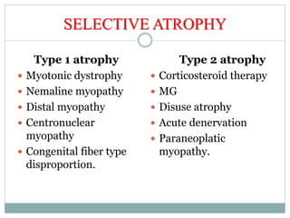 Muscle biopsy interpretation | PPTX