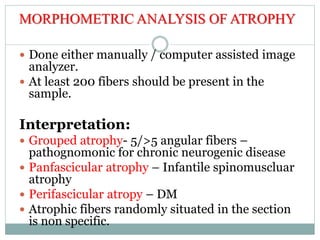 MORPHOMETRIC ANALYSIS OF ATROPHY
 Done either manually / computer assisted image
analyzer.
 At least 200 fibers should be present in the
sample.
Interpretation:
 Grouped atrophy- 5/>5 angular fibers –
pathognomonic for chronic neurogenic disease
 Panfascicular atrophy – Infantile spinomuscluar
atrophy
 Perifascicular atropy – DM
 Atrophic fibers randomly situated in the section
is non specific.
 