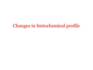 Changes in histochemical profile
 