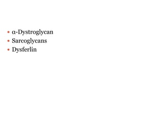  α-Dystroglycan
 Sarcoglycans
 Dysferlin
 