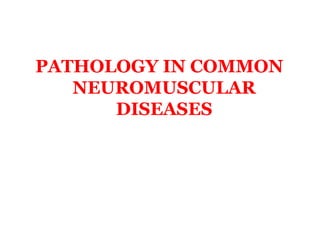 PATHOLOGY IN COMMON
NEUROMUSCULAR
DISEASES
 