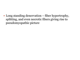  Long standing denervation – fiber hypertrophy,
splitting, and even necrotic fibers giving rise to
pseudomyopathic picture
 
